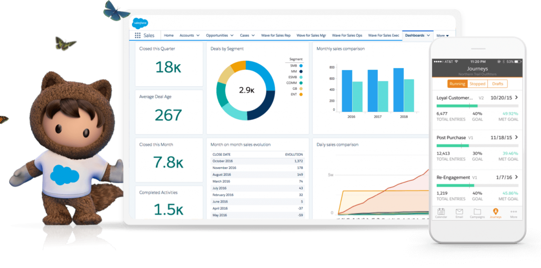 salesforce nedir?