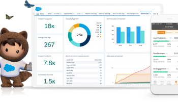 salesforce nedir?