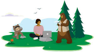 Salesforce Partner